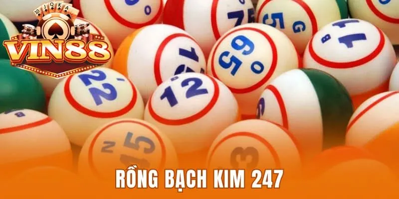 Rồng bạch kim 247